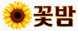 꽃밤